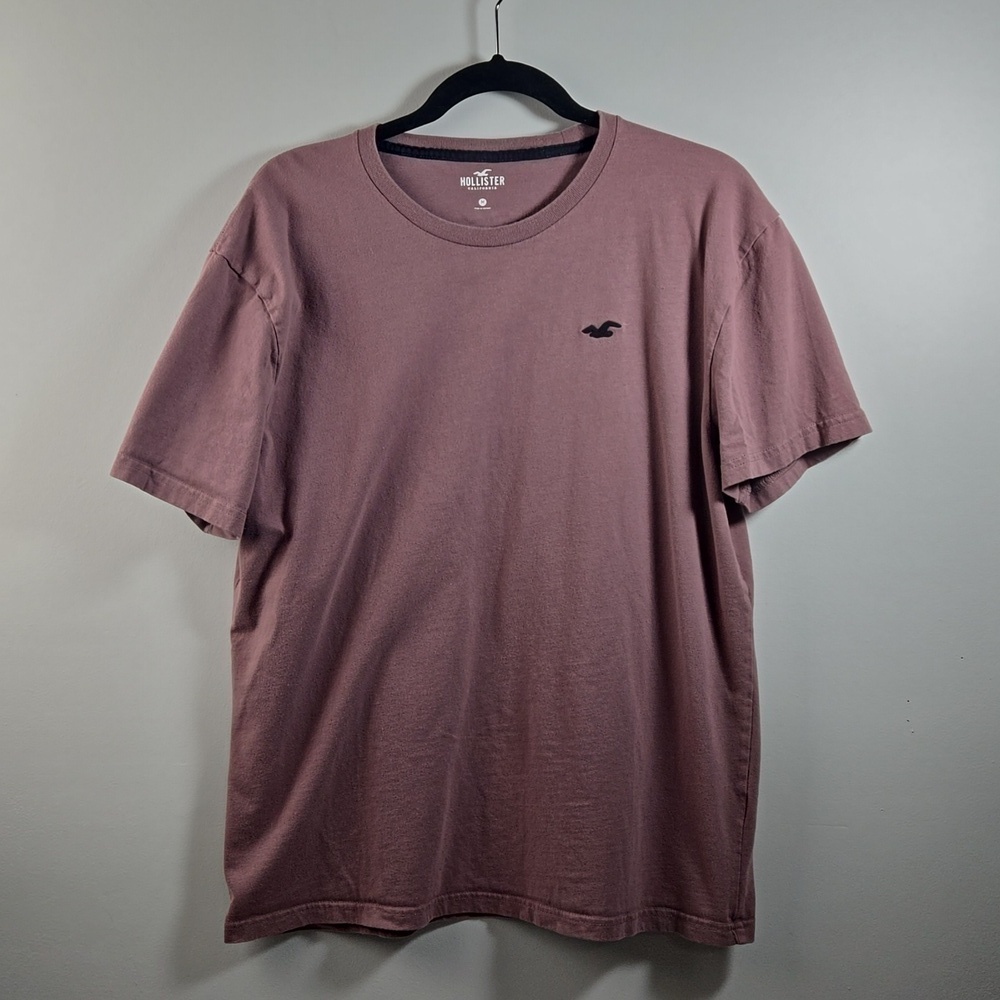 Hollister Short Sleeve Tshirt EUC